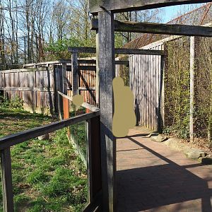 Pathway alongside the raccoon and striped skunk exhibit, 2019-03-30