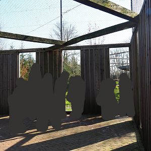 Eurasian wolf exhibit viewing area underneath the Eurasian eagle owl - Raven - Black stork aviary, 2019-03-30
