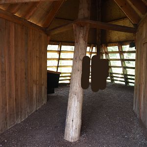 Eurasian eagle owl - Raven - Black stork aviary viewing hut, 2019-03-30