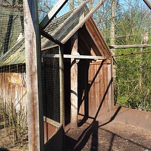 Eurasian eagle owl - Raven - Black stork aviary viewing hut, 2019-03-30