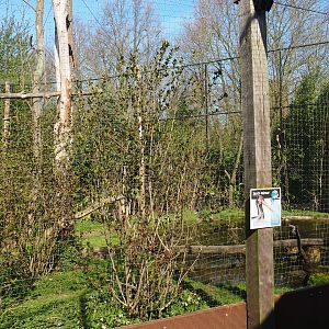 Eurasian eagle owl - Raven - Black stork aviary, 2019-03-30