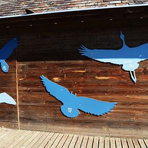 Bird cut-outs on the side of the education building, 2019-03-30