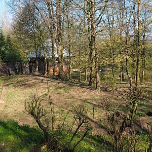 European wolverine exhibit, 2019-03-30