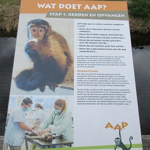 Example of Primate Sign