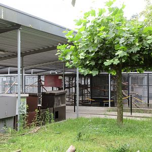 Primate Cages (off-show)