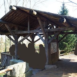 Wolverine viewing shelter, 2019-03-30