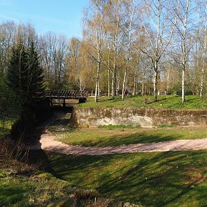 Park of the musk ox exhibit, 2019-03-30