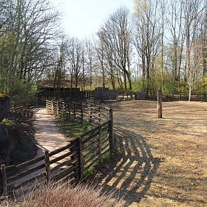 Part of reindeer paddock and musk ox corridor to holding area, 2019-03-30