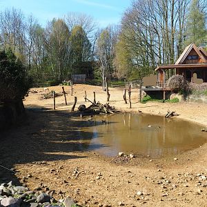 Eurasian forest reindeer exhibit with goose pond and Taiga lodge, 2019-03-30