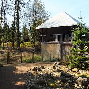 Wolverine viewing areas, 2019-03-30