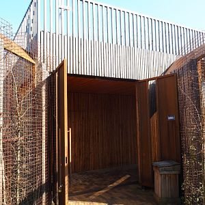 Eurasian lynx house, 2019-03-30