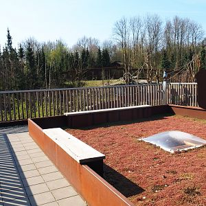 Eurasian lynx and Barbary macaque viewing area, 2019-03-30