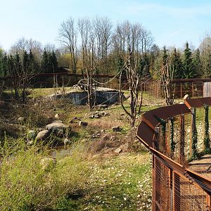 Barbary macaque exhibit, 2019-03-30