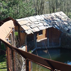 Beaver and tortoise shelter, 2019-03-30