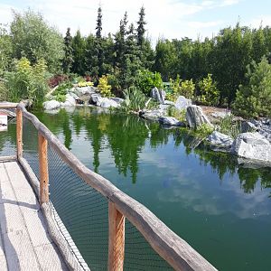 Fish pond - view from the top