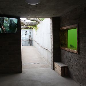 Fish pond - underwater view