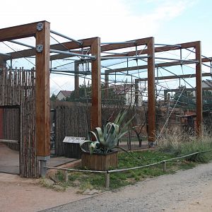 Australian walkthrough aviary - outside view