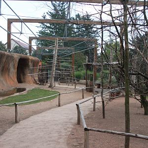 Australian walkthrough aviary - inside look