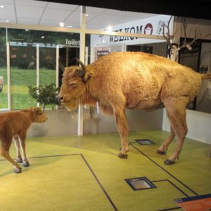 Discovery Center Building