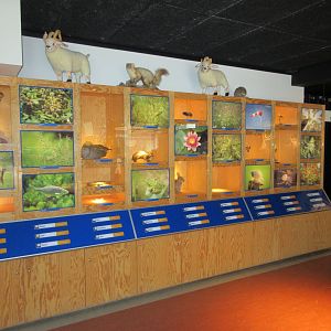 Discovery Center Building