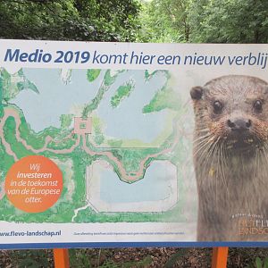 New Otter Sign (perhaps the current 7 exhibits will be condensed to 3 big ones?)