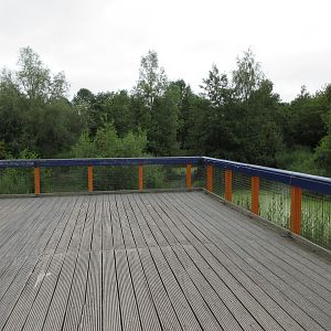 European Otter Exhibit - Viewing Platform
