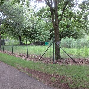 European Otter Exhibit (1 of at least 7)