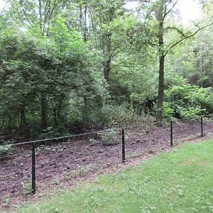 Multi-Acre European Wild Boar Exhibit