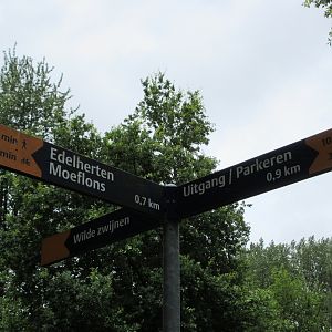 Typical Sign - 9 minutes to Mouflon OR 10 minutes to the Exit (yikes!)