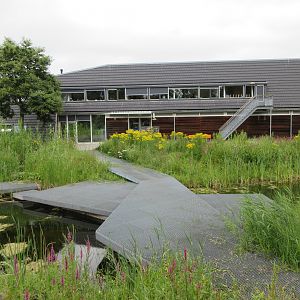 Main Building + Pond (with zero fencing around deep water)