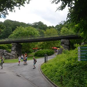Public Walkway over the Zoo at Wuppertal, 16/06/19