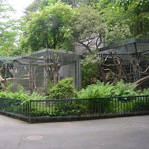 Clouded Leopard Enclosures at Wuppertal, 16/06/19