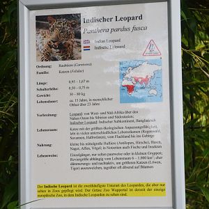 Signage Example at Wuppertal, 16/06/19