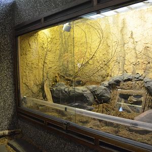 Ansell's Mole Rat Enclosure at Wuppertal, 16/06/19