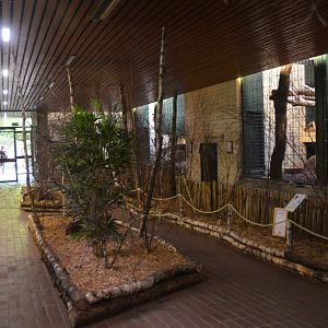 Indian and Clouded Leopard Enclosures at Wuppertal, 16/06/19