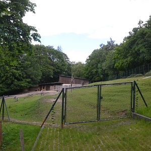 Zebra and Domestic Goat Enclosure at Wuppertal, 16/06/19