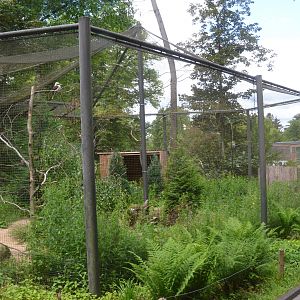 Kookaburra Enclosure at Wuppertal, 16/06/19