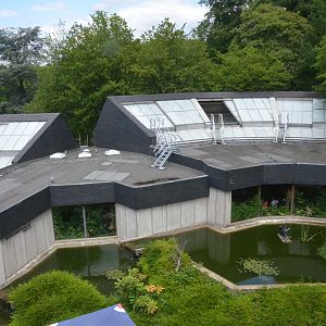 Ape House Exterior at Wuppertal, 16/06/19