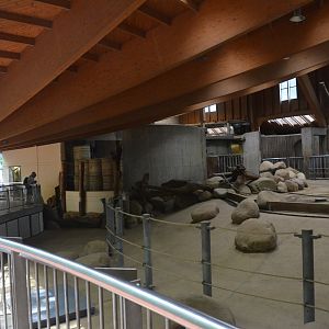 Elephant House Interior at Wuppertal, 16/06/19