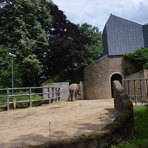 Bull Elephant Enclosure at Wuppertal, 16/06/19