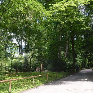 Cheetah Enclosure at Wuppertal, 16/06/19