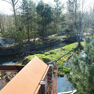 North American beaver exhibit, 2019-03-30