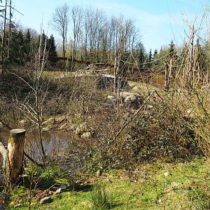 Barbary macaque exhibit, 2019-03-30
