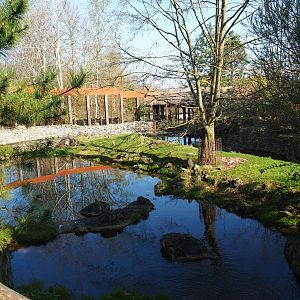 North American beaver exhibit, 2019-03-30