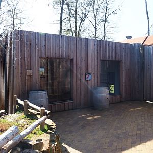 Barbary macaque holding house, 2019-03-30