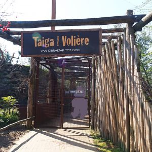 Entrance to the Taiga aviary, 2019-03-30