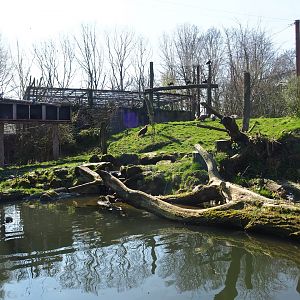 Taiga aviary, 2019-03-30