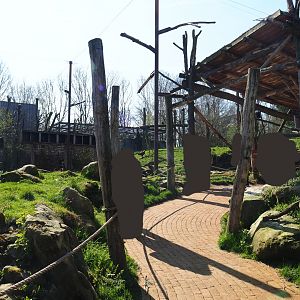 Taiga aviary viewing area, 2019-03-30