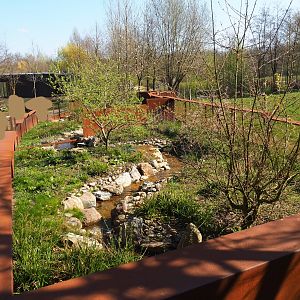 European mink exhibit, 2019-03-30