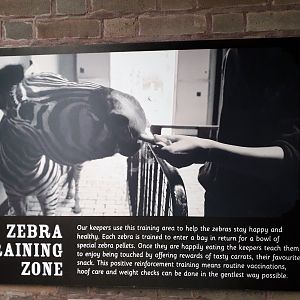 Zebra training sign